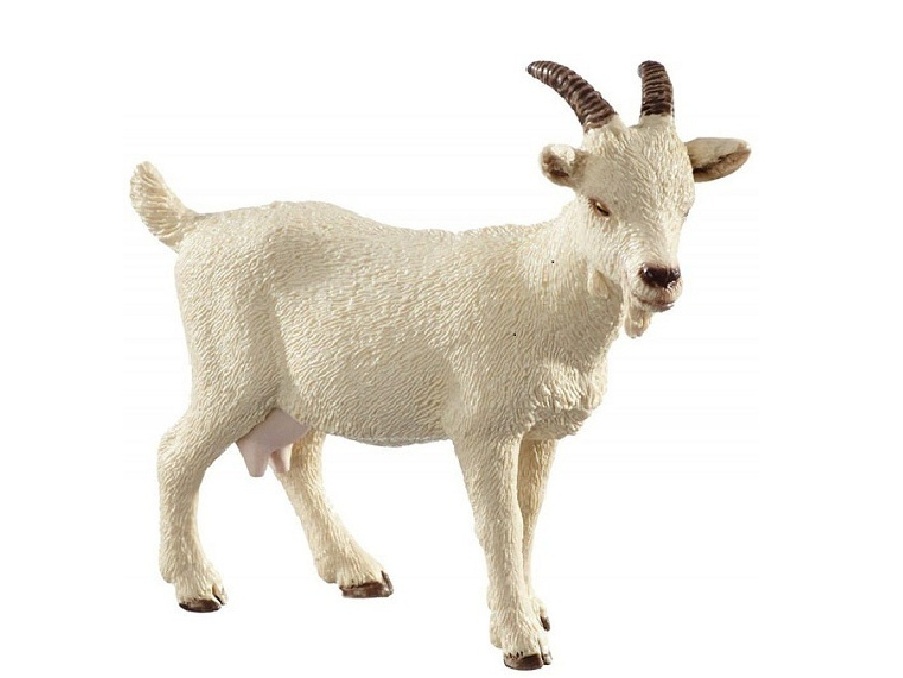 Коза на английском - Goat