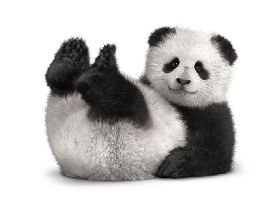 Панда на английском - Panda