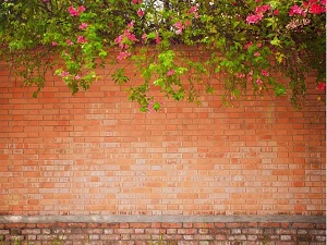 Стена на английском - Wall